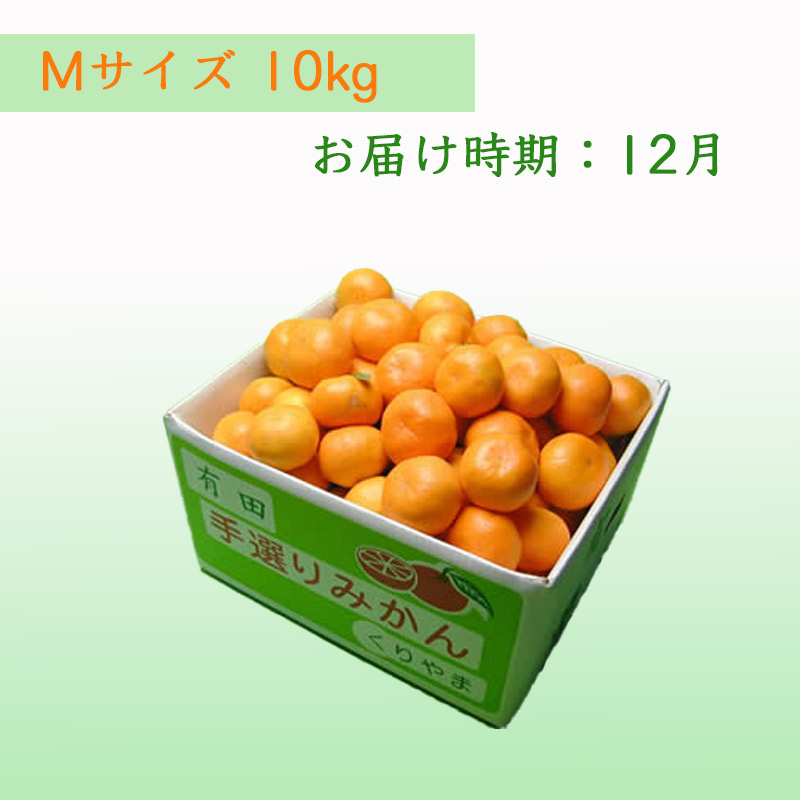 栗山園の有田みかん向山中生