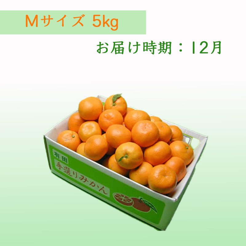 栗山園の有田みかん向山中生