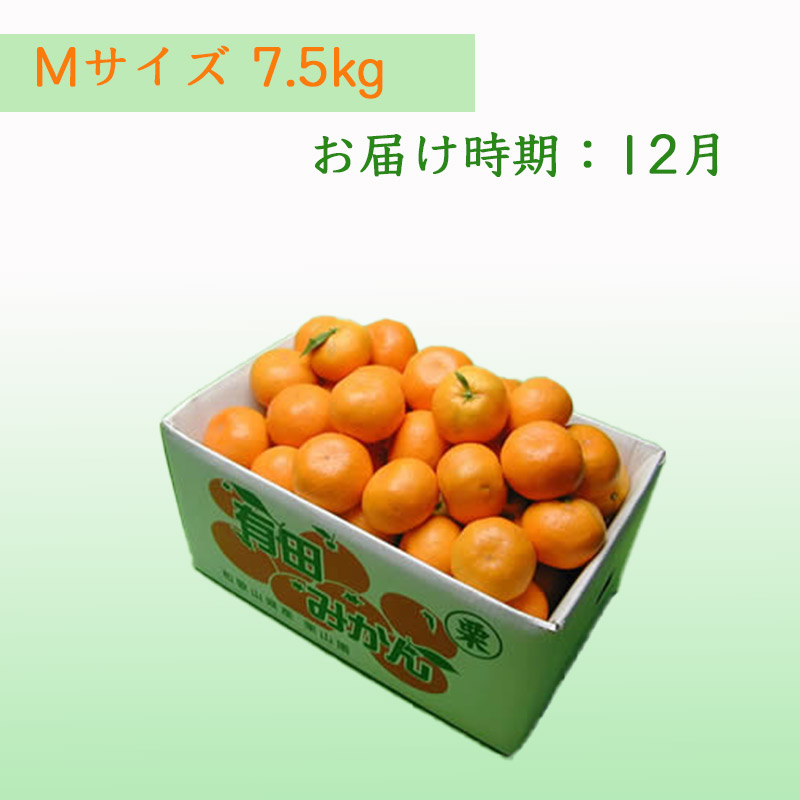 栗山園の有田みかん向山中生