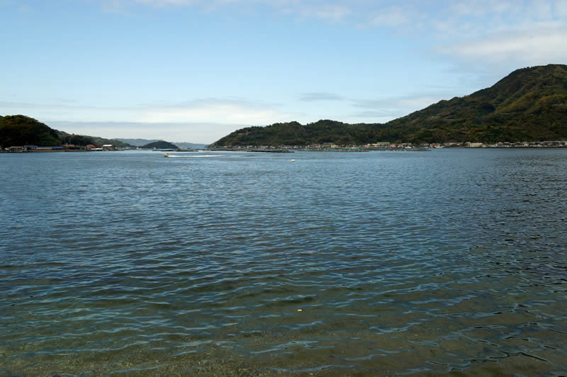 愛媛宇和島 中村かまぼこ