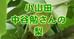中谷勉さんの梨