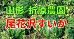 折原農園 すいか