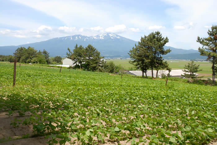 仁助屋