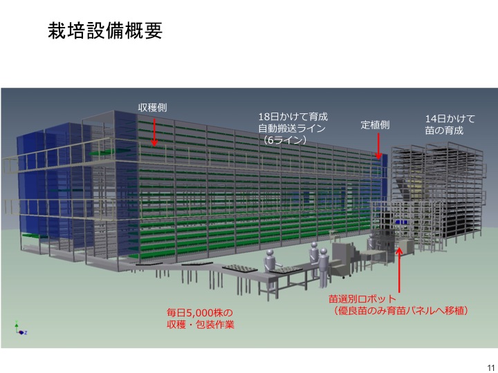 大阪府立大学植物工場