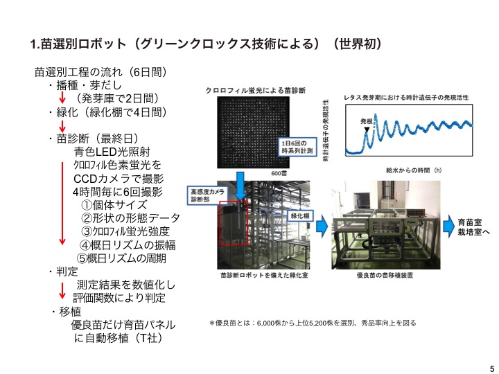 大阪府立大学植物工場