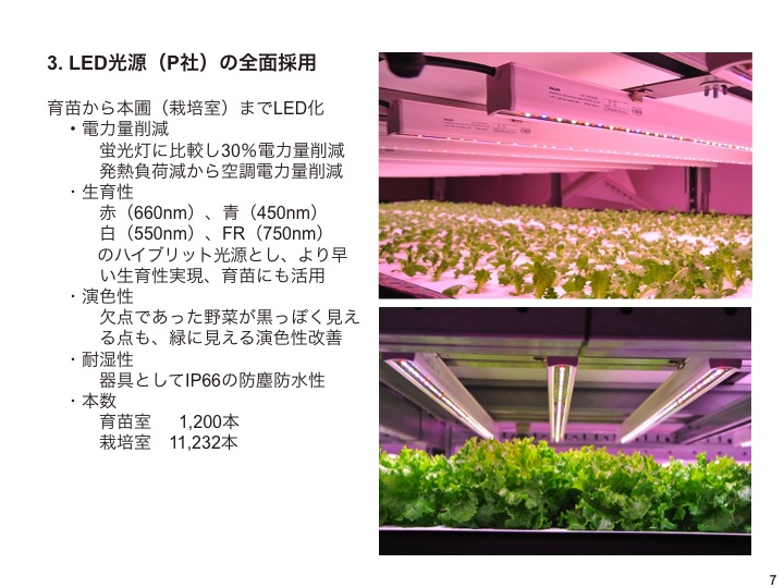 大阪府立大学植物工場