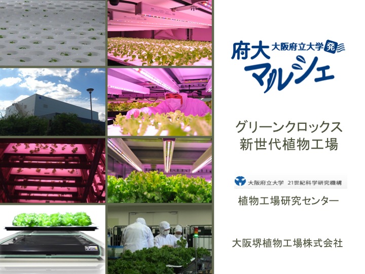 大阪府立大学植物工場