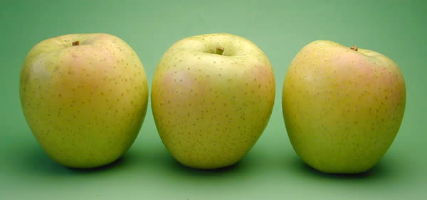 りんご　王林