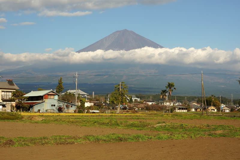 里山てるてるファーム