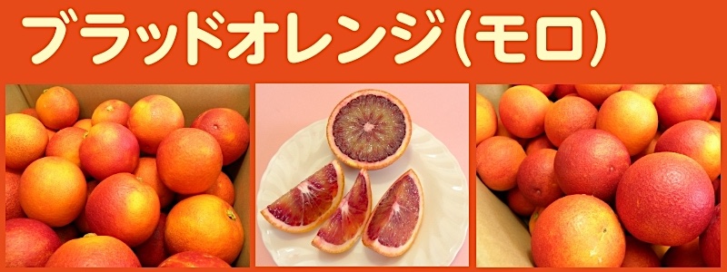 ブラッドオレンジ（モロ）