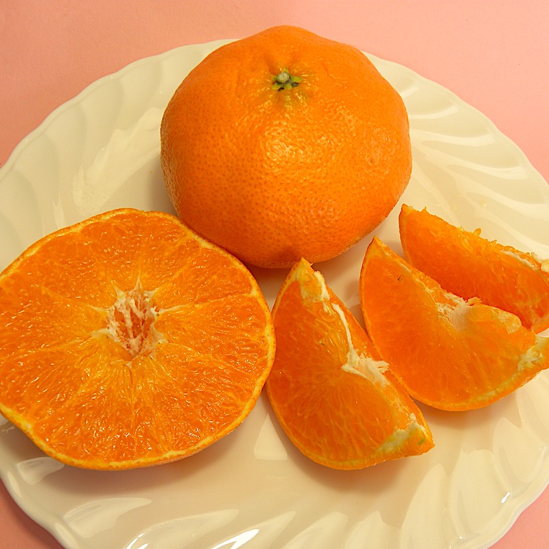 宇和島柑橘ソムリエの甘平