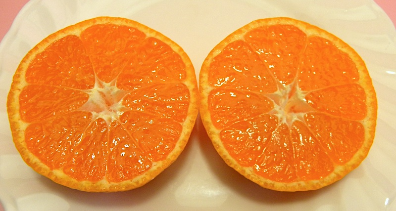 宇和島柑橘ソムリエの温州みかん