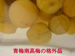 紅南高梅の梅酒