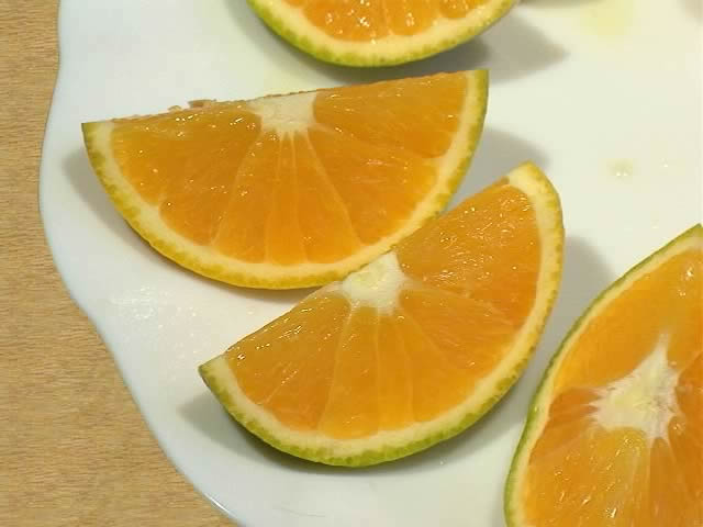 栗山園のバレンシアオレンジ