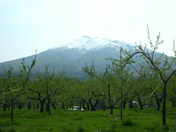 岩木山