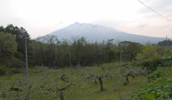 片山りんご園から見た岩木山