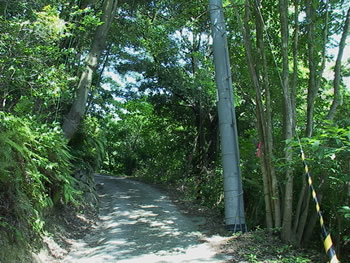 ６月の栗山園