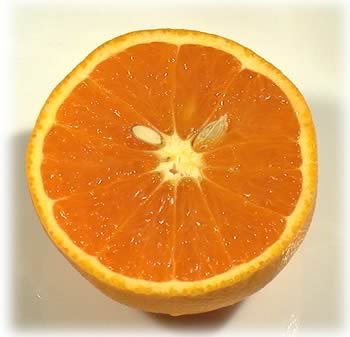 輪切りの清見オレンジ