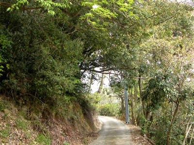 栗山園の園地