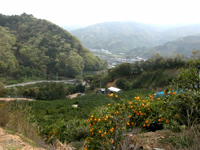 栗山園の園地