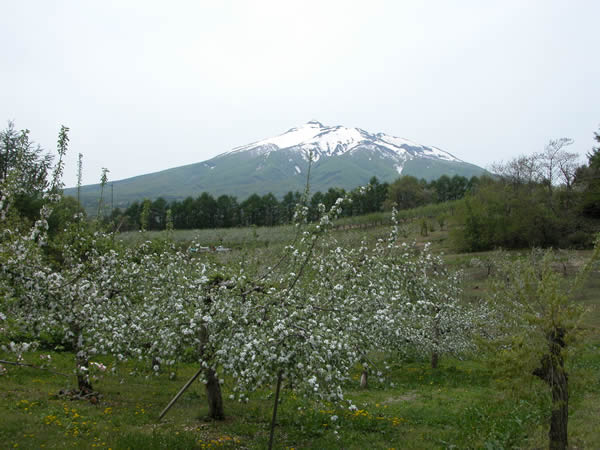 岩木山