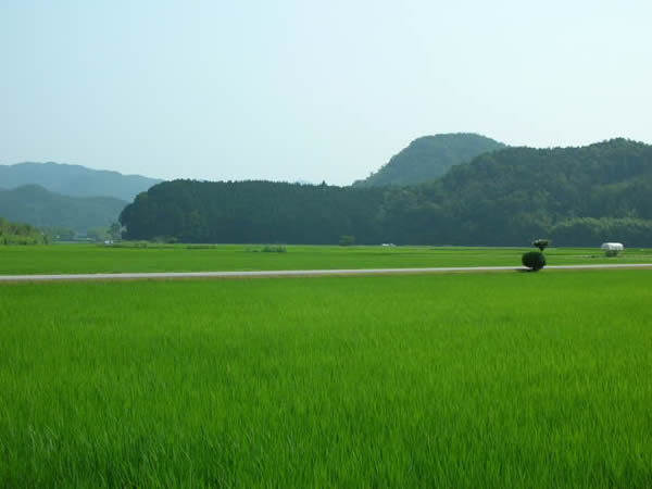 丹波篠山