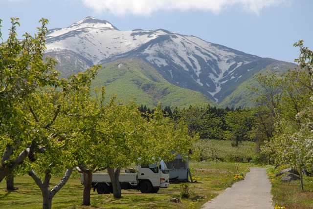 片山りんご園から見る岩木山